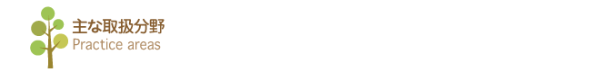 主な取り扱い分野